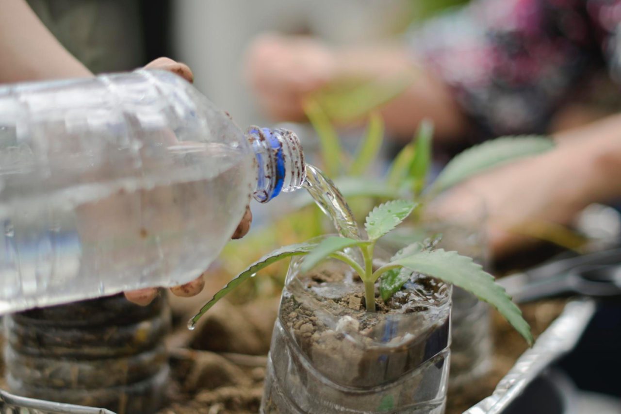 water-plant-pet-plastic-bottle-supracycling