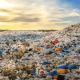 Finnish-scientists-break-down-problematic-plastics-with-microbes