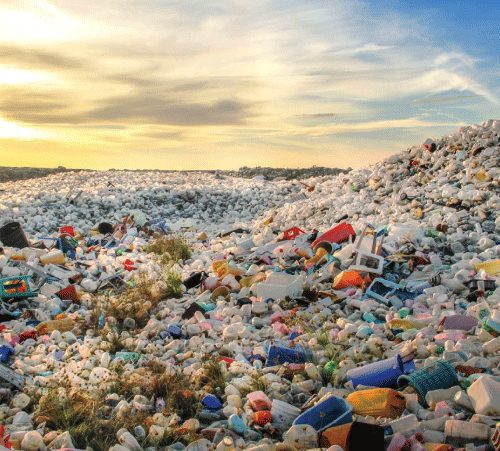 Finnish-scientists-break-down-problematic-plastics-with-microbes